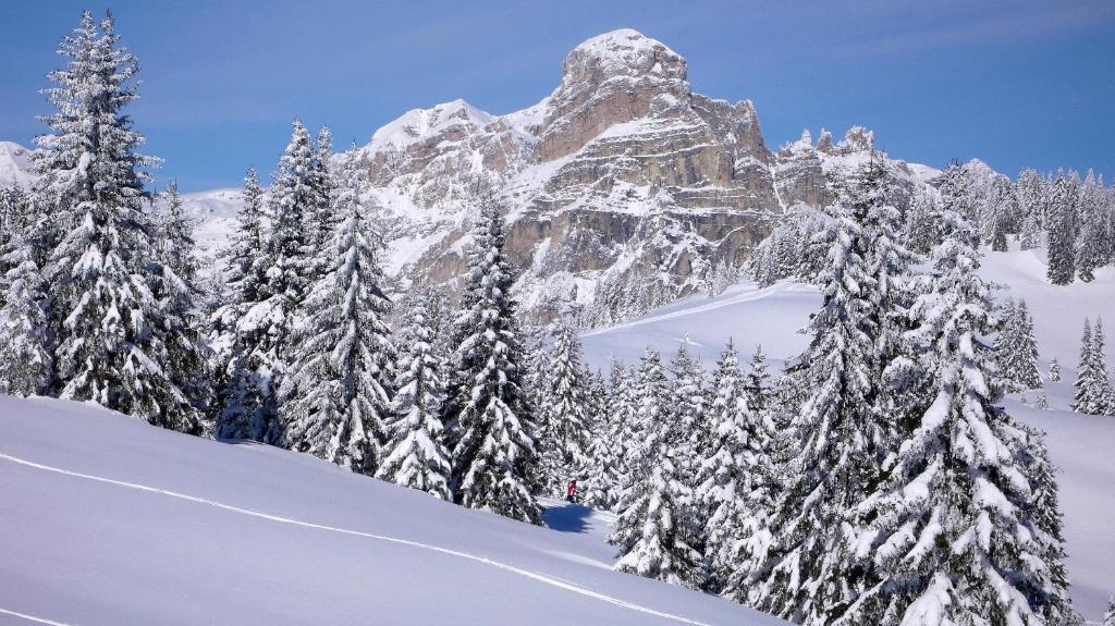 Hotel Ciasa Ai Pini San Cassiano  Exteriér fotografie